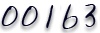 blog counter